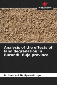 bokomslag Analysis of the effects of land degradation in Burundi