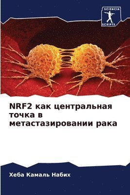 Nrf2 &#1082;&#1072;&#1082; &#1094;&#1077;&#1085;&#1090;&#1088;&#1072;&#1083;&#1100;&#1085;&#1072;&#1103; &#1090;&#1086;&#1095;&#1082;&#1072; &#1074; 1