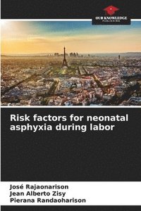 bokomslag Risk factors for neonatal asphyxia during labor