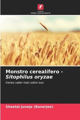 Monstro cerealfero - Sitophilus oryzae 1