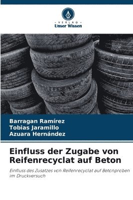 Einfluss der Zugabe von Reifenrecyclat auf Beton 1