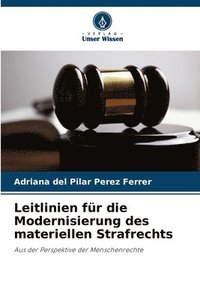 bokomslag Leitlinien fr die Modernisierung des materiellen Strafrechts