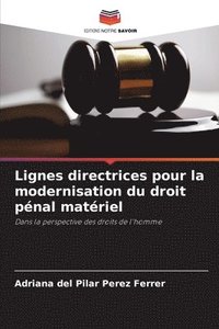 bokomslag Lignes directrices pour la modernisation du droit pnal matriel