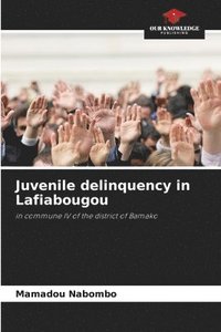 bokomslag Juvenile delinquency in Lafiabougou