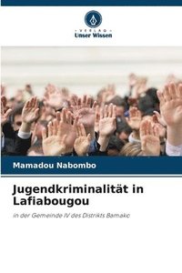 bokomslag Jugendkriminalitt in Lafiabougou