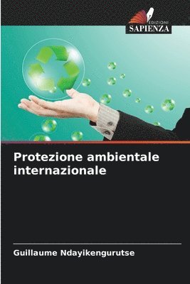 bokomslag Protezione ambientale internazionale