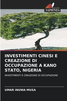 Investimenti Cinesi E Creazione Di Occupazione a Kano Stato, Nigeria 1