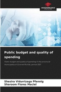 bokomslag Public budget and quality of spending