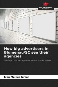 bokomslag How big advertisers in Blumenau/SC see their agencies