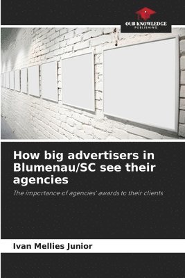 How big advertisers in Blumenau/SC see their agencies 1