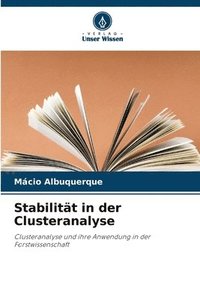 bokomslag Stabilitt in der Clusteranalyse