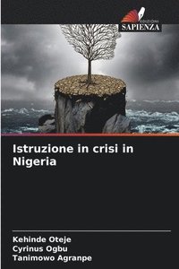 bokomslag Istruzione in crisi in Nigeria