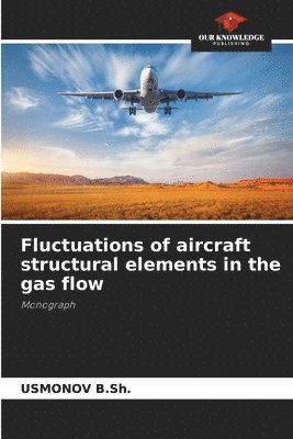 bokomslag Fluctuations of aircraft structural elements in the gas flow