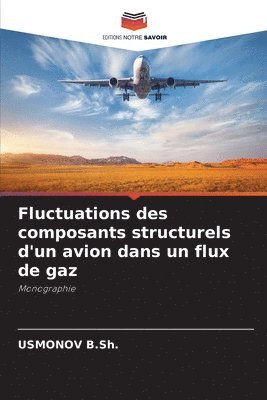 Fluctuations des composants structurels d'un avion dans un flux de gaz 1