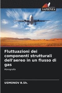 bokomslag Fluttuazioni dei componenti strutturali dell'aereo in un flusso di gas