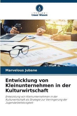 bokomslag Entwicklung von Kleinunternehmen in der Kulturwirtschaft