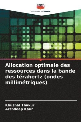 Allocation optimale des ressources dans la bande des trahertz (ondes millimtriques) 1