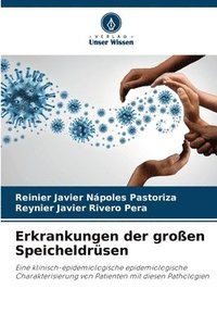 bokomslag Erkrankungen der großen Speicheldrüsen