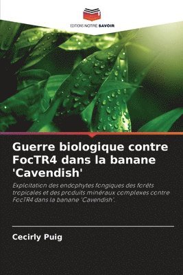 Guerre biologique contre FocTR4 dans la banane 'Cavendish' 1