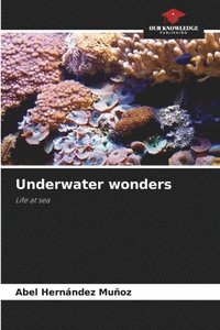 bokomslag Underwater wonders