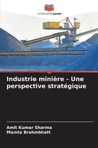 bokomslag Industrie minire - Une perspective stratgique