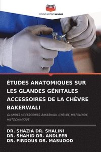 bokomslag tudes Anatomiques Sur Les Glandes Gnitales Accessoires de la Chvre Bakerwali