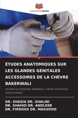 tudes Anatomiques Sur Les Glandes Gnitales Accessoires de la Chvre Bakerwali 1