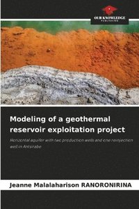 bokomslag Modeling of a geothermal reservoir exploitation project