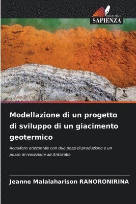 bokomslag Modellazione di un progetto di sviluppo di un giacimento geotermico