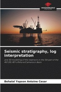 bokomslag Seismic stratigraphy, log interpretation
