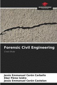 bokomslag Forensic Civil Engineering