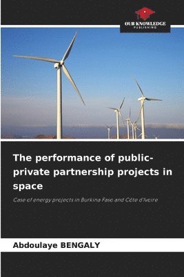 The performance of public-private partnership projects in space 1