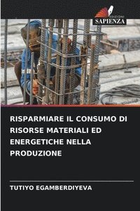 bokomslag Risparmiare Il Consumo Di Risorse Materiali Ed Energetiche Nella Produzione