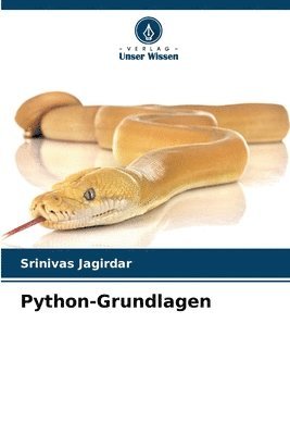 bokomslag Python-Grundlagen