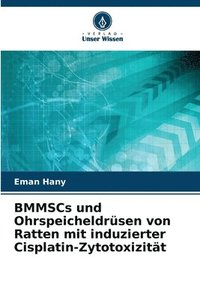 bokomslag BMMSCs und Ohrspeicheldrsen von Ratten mit induzierter Cisplatin-Zytotoxizitt