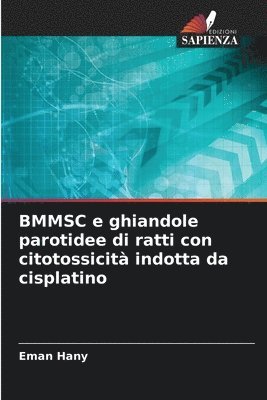 BMMSC e ghiandole parotidee di ratti con citotossicit indotta da cisplatino 1