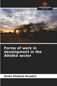 bokomslag Forms of work in development in the Attik sector