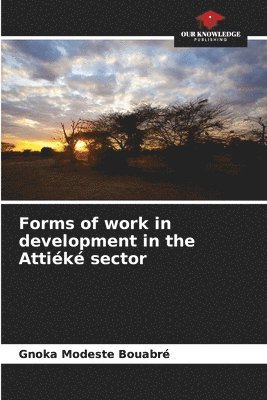 bokomslag Forms of work in development in the Attik sector