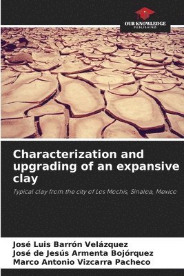 Characterization and upgrading of an expansive clay 1