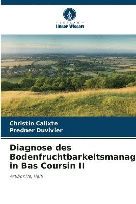 Diagnose des Bodenfruchtbarkeitsmanagements in Bas Coursin II 1