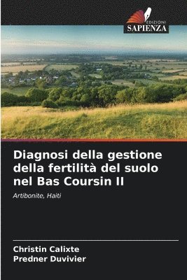 Diagnosi della gestione della fertilit del suolo nel Bas Coursin II 1