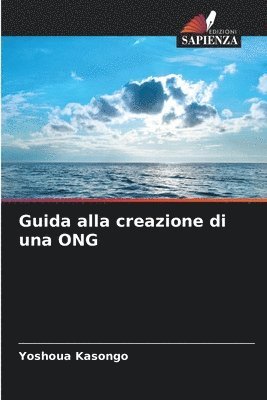 bokomslag Guida alla creazione di una ONG