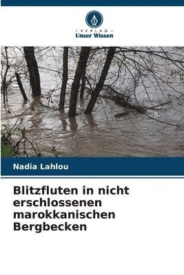 bokomslag Blitzfluten in nicht erschlossenen marokkanischen Bergbecken