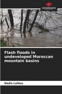 bokomslag Flash floods in undeveloped Moroccan mountain basins