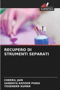 bokomslag Recupero Di Strumenti Separati