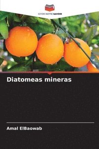 bokomslag Diatomeas mineras