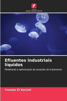 Efluentes industriais lquidos 1