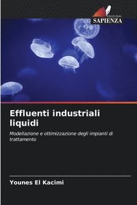 bokomslag Effluenti industriali liquidi