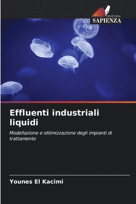 Effluenti industriali liquidi 1