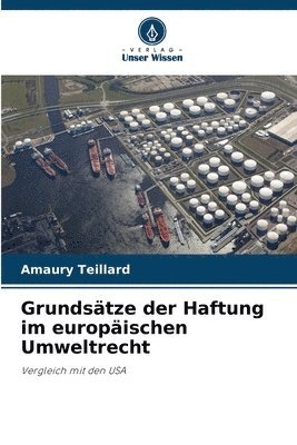 Grundstze der Haftung im europischen Umweltrecht 1